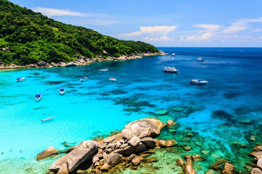 沉浸式体验山水城林，南京玄武湖太平门赏荷栈道正式开放
